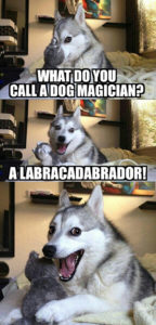 What do you call a dog magician? A labracadabrador. Labrador magician joke.