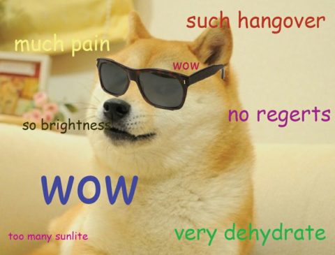 Wow. Doge much pain, so brightness. Such hangover. No regrets.