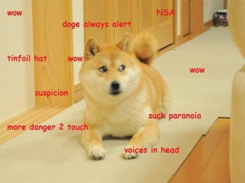 Wow. Suspicion. Doge always alert. Such paranoia, voices in head. NSA listening. Suspicious doge.