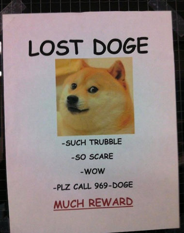 Lost doge, such trubble, so scare, wow, plz call 969-doge, much reward