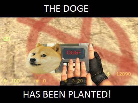 The Doge has been planted. Counter strike doge. Doggo bomb. Wow.