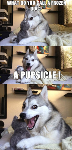 What do you call a frozen dog. A pupsicle. Wow. Pun dog meme.