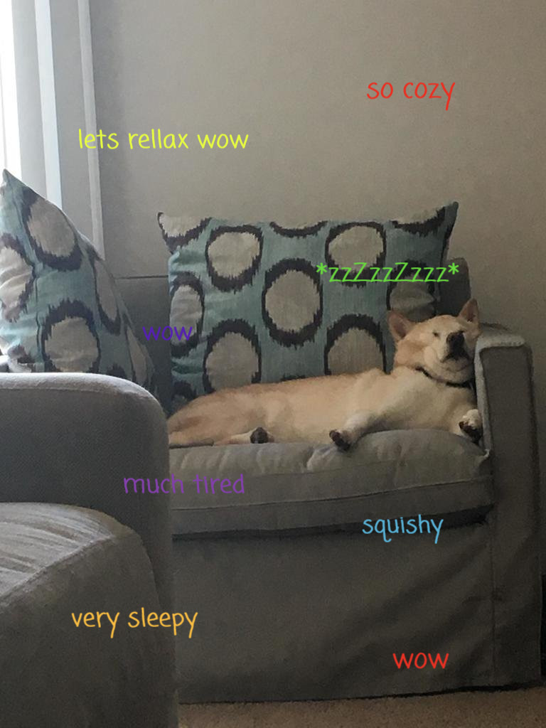 Much tired. Very sleepy. Wow. Squishy. ZzzZZzzzZzzz. Sleepy doge.