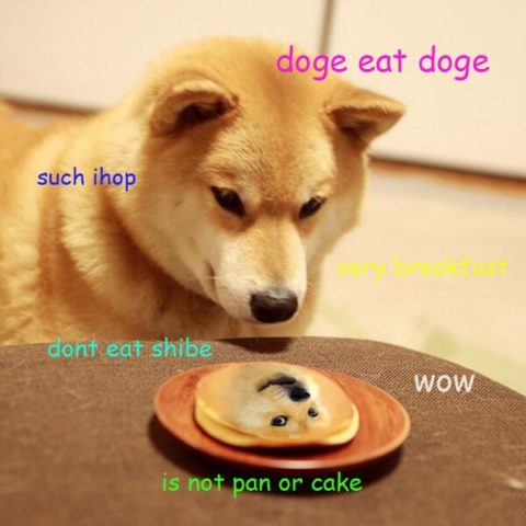 Doge eat doge. Don't eat shibe. Such iHop, very breakfast. Wow.