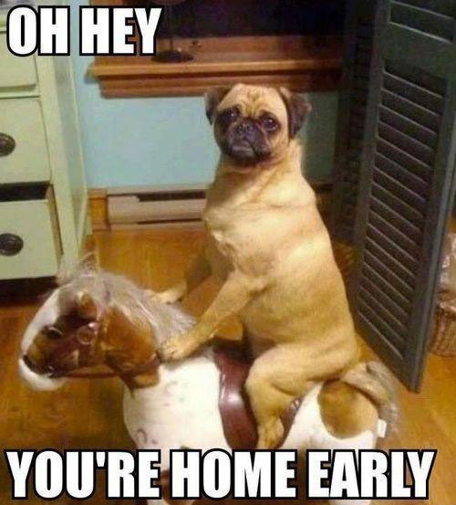 Oh hey, you're home early...