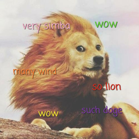 So lion, very Simba. Wow. Lion Doge.