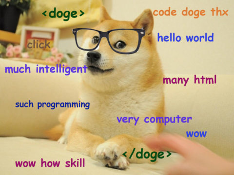 Such programming. Much intelligent. Very computer. Hello world dis is web developer Doge.