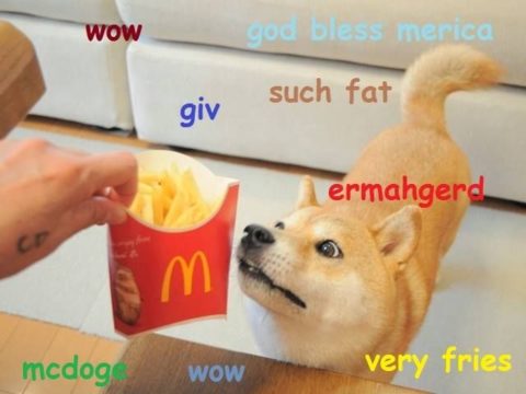 Such fat, very fries. Wow. McDoge. Ehmagerd! Giv.