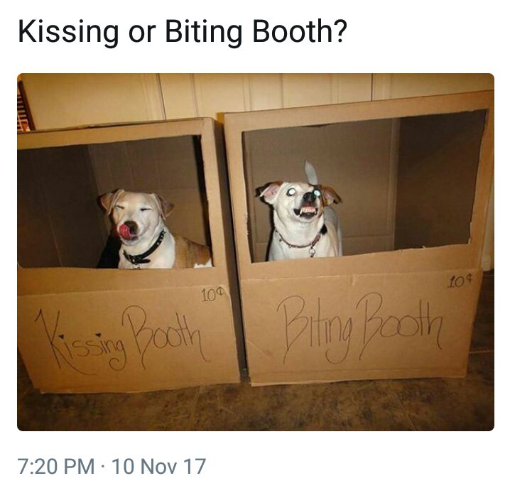 Dogelands christmas market kissing and biting booths. Kissing booth to the left, biting booth to the right.