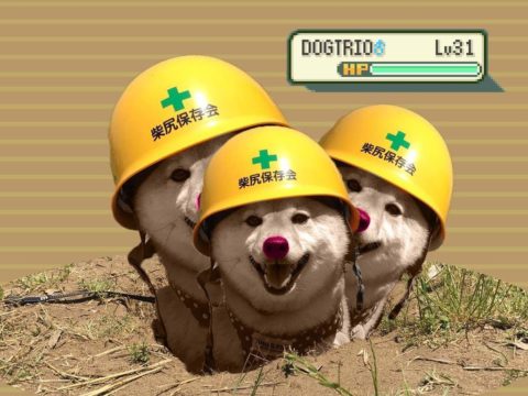 Dogtrio doge ready for action. Pokemon stylized.