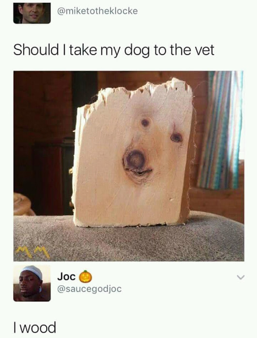 Sick doge looks like wooden plate. Should I take it to the wet? I wood.