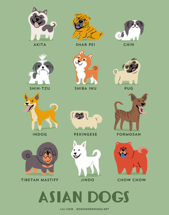 Such asian doggos. Wow. Akita. Shiba Inu. Shar Pei. Chin. Pug. Shih tzu. Formosan. Indog. Jindo. Chow chow. Tibetan Mastif. Much breeds. Wow.