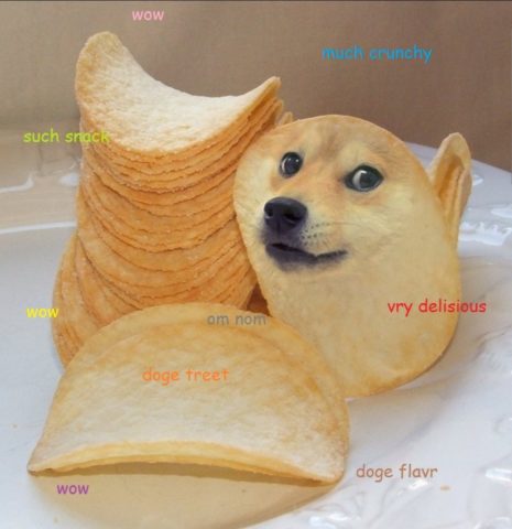 Doge flavoured chips looking like doge. Such crunchy. Much delicious.