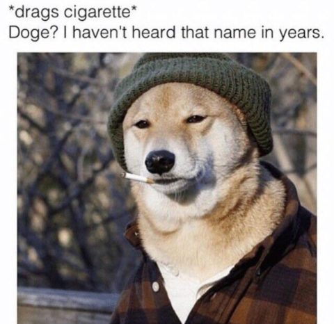 Mature doge in shirt and hat smoking cigarette. Wow.