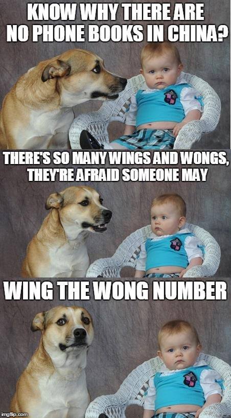 Doggo talking with baby: Know why there are no phone books in china? There's so many Wings and Wongs they're afraid someone may... Wing the wong number. Wow