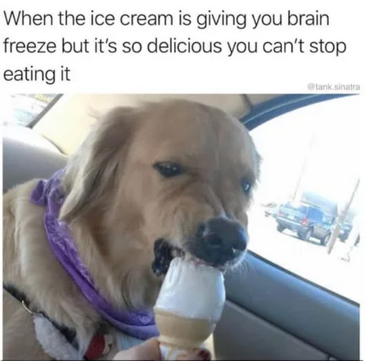 When Delicious Ice Cream Is Giving You Brain Freeze 🍦 | Doge Much Wow