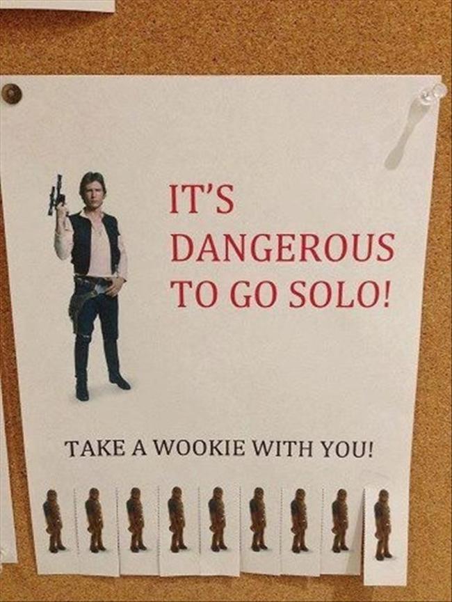 Poster. Han Solo next to "It's dangerous to go solo!" and wookie flyers. Take a wookie with you.