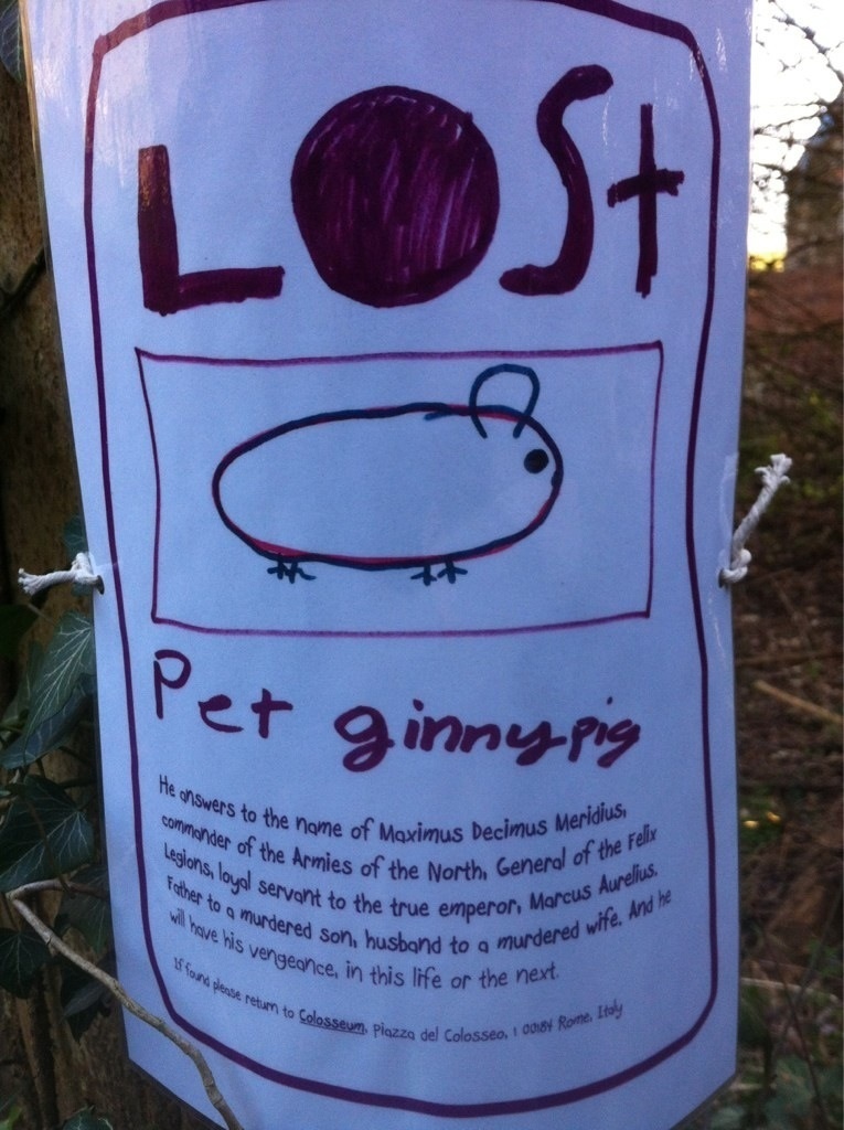 Poster: Lost ginny pig. Hand drawd potato like ginny pig with uneasy past.