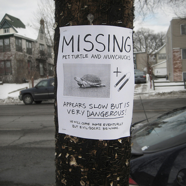 Poster: Missing pet turtle and nunchucks. Appers slow but is very DANGEROUS! Evildoers beware.