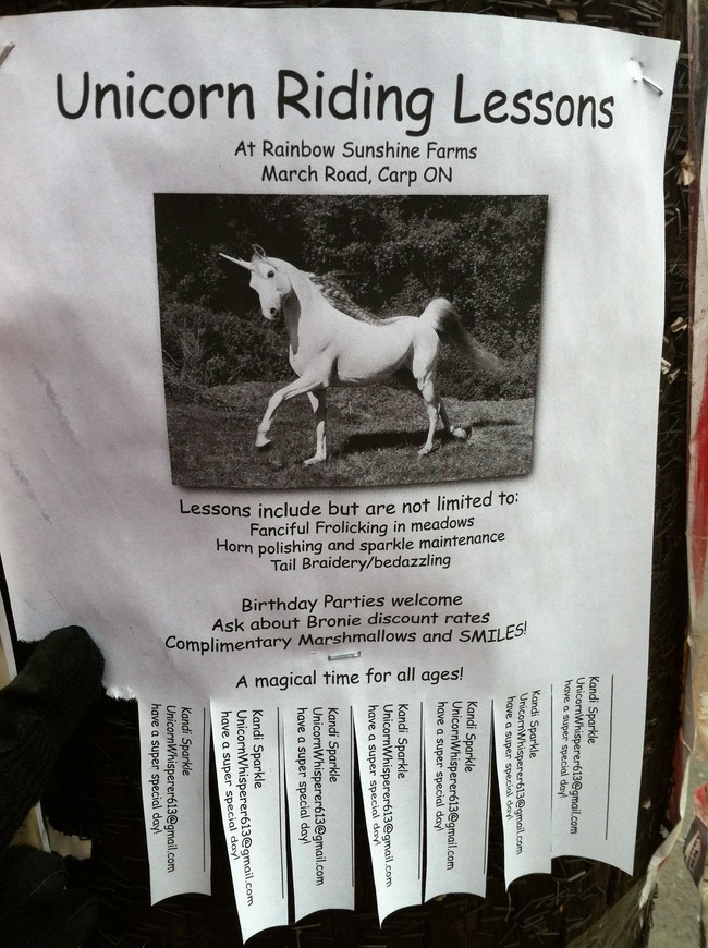 Poster: Unicorn riding lessons. At Rainbow Sunshine Farms. Lessons include but are not limited to: franciful frockling in meadows, horn polishing and sparkle maintenance, tail braidery/bedazzling. Birthday parties welcome!