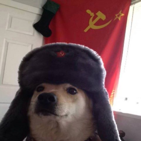 Doge wering russian fur hat with communist emblem in the background.