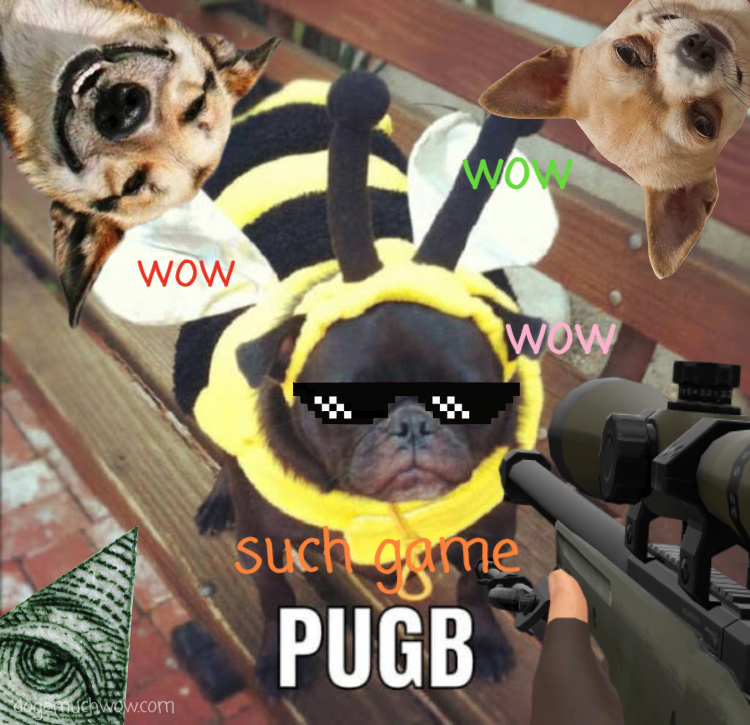 PUGB Game Promo. Pug in a bee costume right in the middle of pugs battleground.