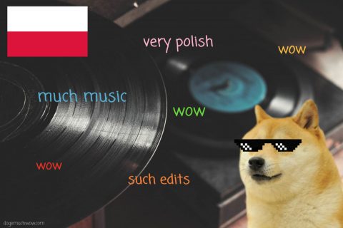 Very Polish Vinyl Doge