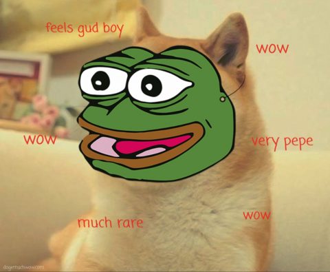 Doge wearing a Pepe mask. Very Pepe. Much rare. Wow.