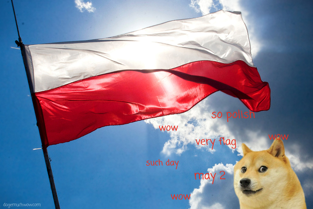 Doge celebrates Polish Flag Day. Very day, such flag, much polish. Wow.