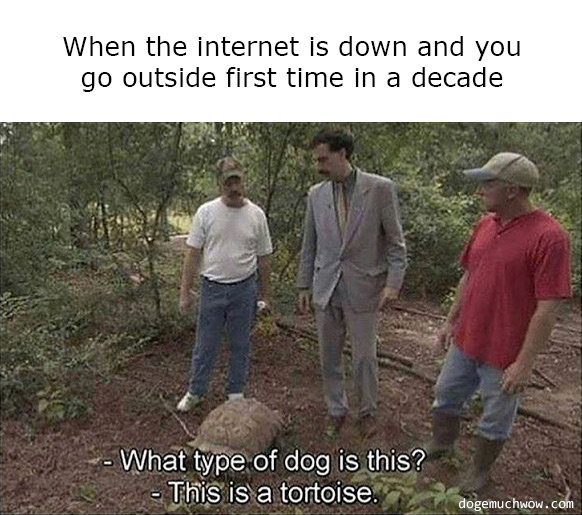 when the internet is down and you outside first time in a decade: Borat confuses turtle with a dog.