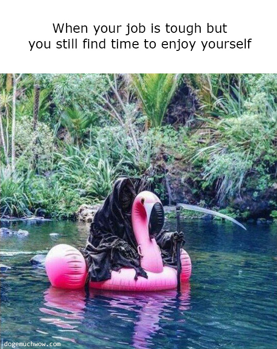 When your job is tough but you still find time to enjoy yourself: Reaper swims on pink flamingo.