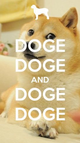 Wallpaper: Mobile Doge Doge Doge Doge.