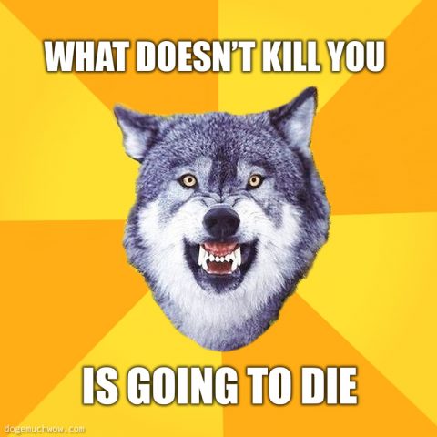 Courage wolf: What doesn't kill you is going to die.