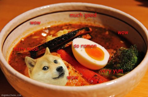 Doge sitting in the bowl of delicious ramen noodles. So ramen. Much good. Very yum. Wow