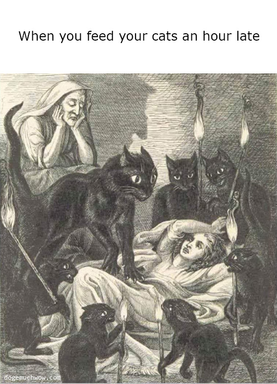 When you feed your cats an hour late: Woman sourrunded by demonic cats.