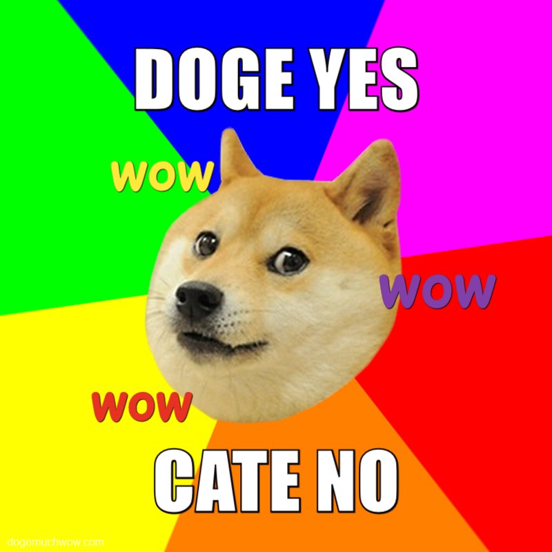Advice Doge about Cate. Doge Yes - Cate No.