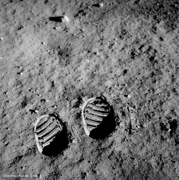 Photography of footprints left by a dogonaut. They are considerably smaller and have different shape from the standard hooman space boots. Wow.