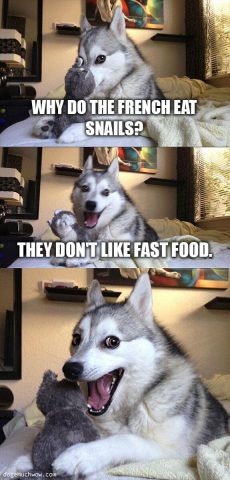 Bad pun dog telling joke. Why do french eat snails? Because they don't like fast foods. Wow. xD