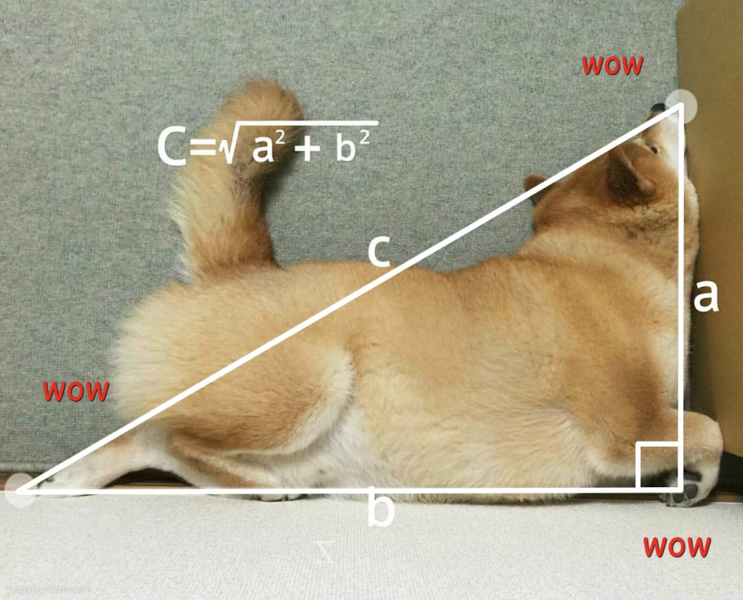 Shibe presenting the pythagorean theory. Wow.