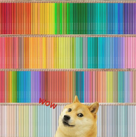 Most oddly satisfied Doge in front of wall made of colorful pencils. Wow.