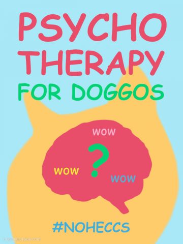 Colorful poster showing doge brain with question mark inside. Captions: Psychotherapy for doggos. Wow. #noheccs