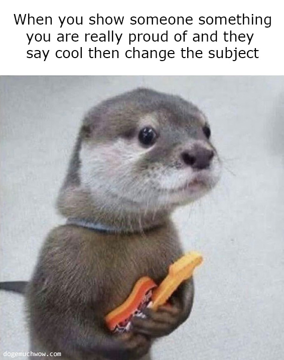 When you show someone something your are really proud of and they say cool then change the subject. Sad otter holding a toy guitar.