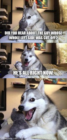Pun dog comic. Have you hear about the guy whose whole left side was cut off? He's all right now. Wow.