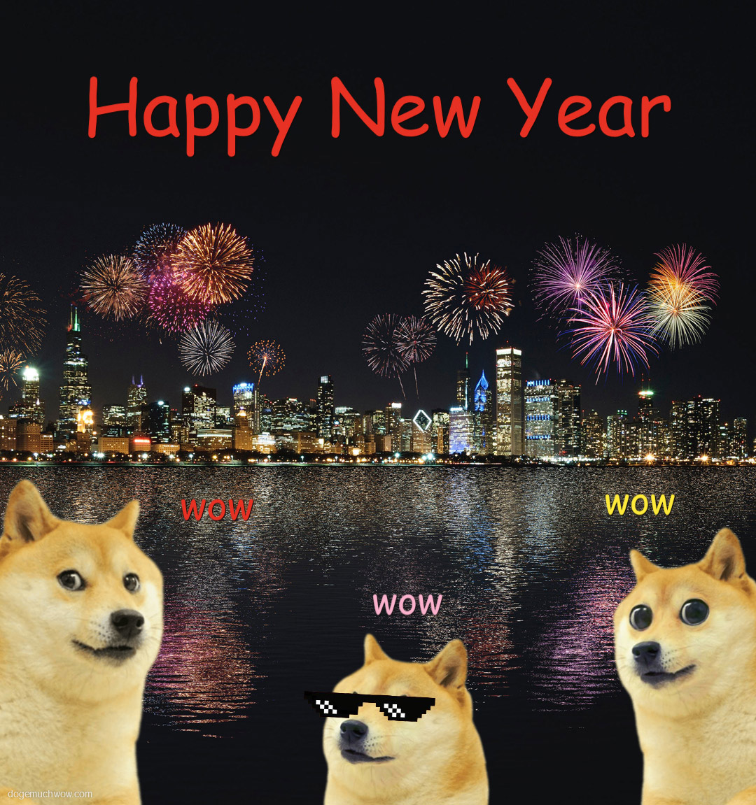Three doges wowing at new years fireworks show. Wow.