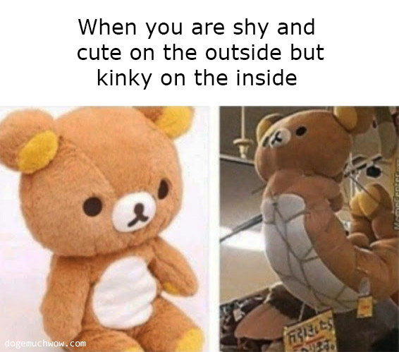 When you are shy and cute on the outside but kinky on the inside. Image depicting an ordinary teddy bear versus his kinky bondage loving counterpart.