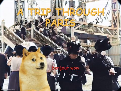 Doge among french crowd on a trip through Paris. Bonjour wow.