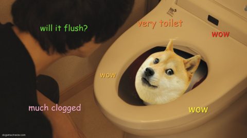 Very clogged toilet with doge inside. Wow.