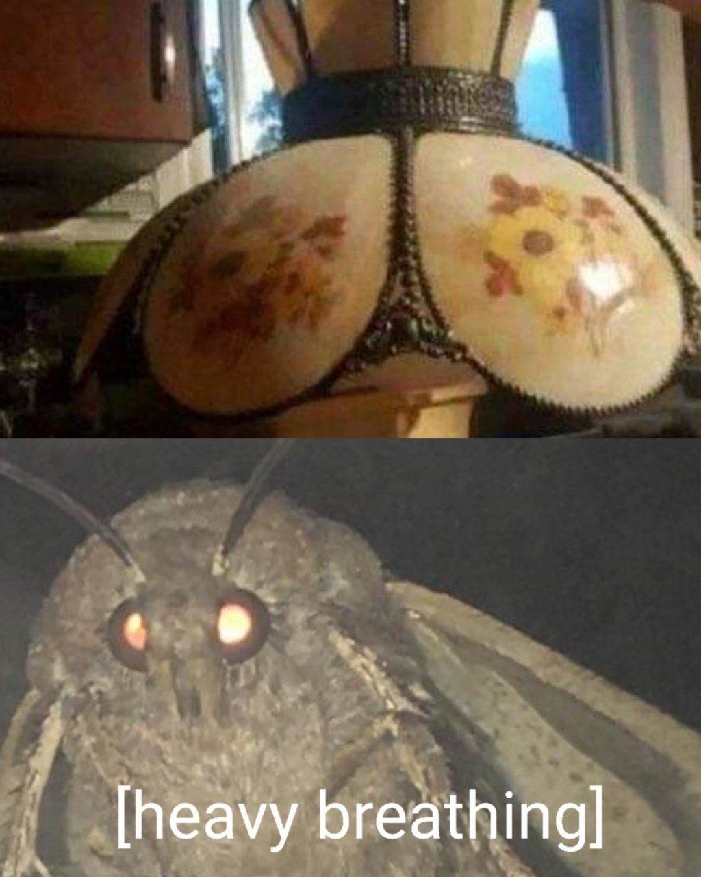 Moth heavy breathing at sexy ass shaped lamp.