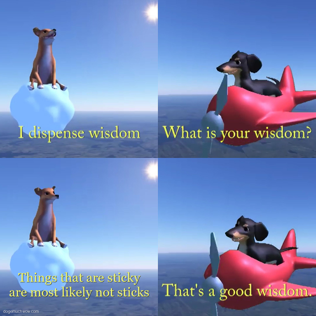 Good Wisdom From The Dog Of Wisdom Doge Much Wow good wisdom from the dog of wisdom