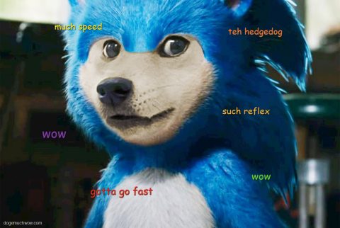 Sonicc the Hedgedog. Sonic but with Doge face. Much speed. Such reflex. Gotta go fast. Wow.